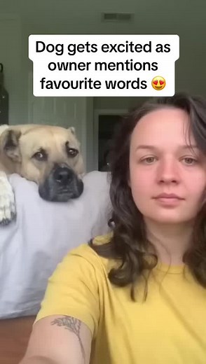 Happyclips4u on TikTok