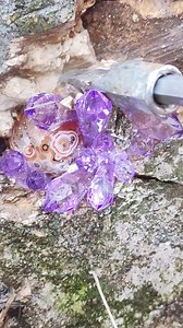 HIDDEN TREASURES OF THE EARTH 💎✨ | Gold Amazing