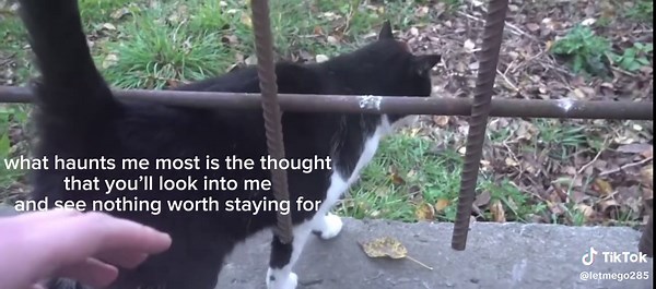 Understanding Limerence and Mental Health Awareness