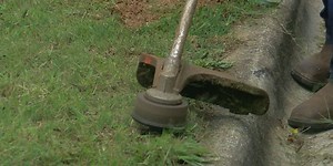 String trimmer yard accidents sending people to eye doctor