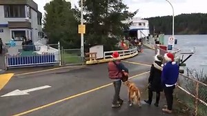 Welcoming friends and family home for the holidays Salt Spring Island style. #saltspring | Salt Spring Exchange