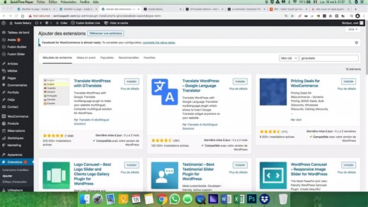 06_Plugin - Gtranslate