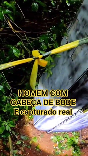 HALF MAN HALF ANIMAL GOAT THE REAL CAPTURED CREATURE.