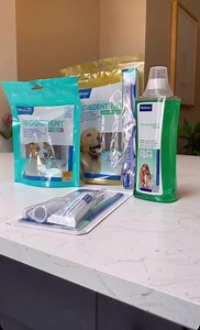 Three ways to help protect your pet's oral hygiene... 🥇Brush your pet's teeth daily with Virbac Enzymatic Toothpaste 🥈Add Vet Aquadent FR3SH to your pet's drinking water 🥉Give your pet a Veggiedent FR3SH Dental Chew daily Purchase these Virbac dental products here 🔗 https://loom.ly/sREWtTQ #PetDentalCare #PetDental #PetDentalCleaning #DogTeethCleaning #DogTeethBrushing #PetDentalAwareness #PetDentalHygiene #PetOralCare #PetOralHygiene #PetOralHealth #VetAquadent #VeggiedentFresh | Virbac