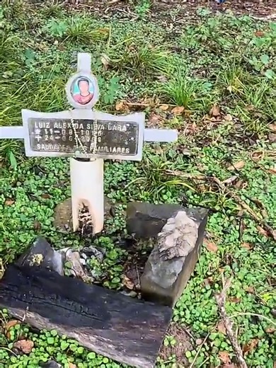 Ataque Fatal de Onça-Pintada no Pantanal