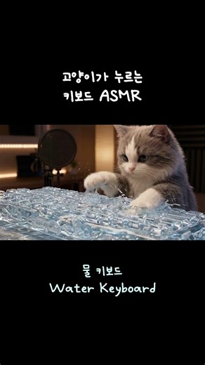 [고양이 ASMR] 고양이가 누르는 물 키보드🐾 #cat #asmr #water #waterkeyb