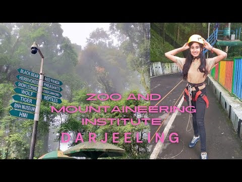 Travel vlog-273-"Padmaja Naidu Himalayan Zoological Park & Himalayan Mountaineering Institute."