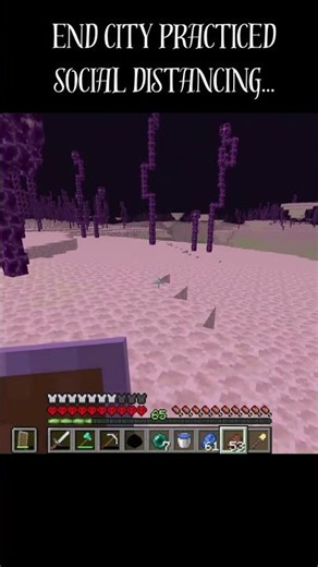 The end practicing social distancing... #minecraft #gaming #shorts #minecrafthardcore