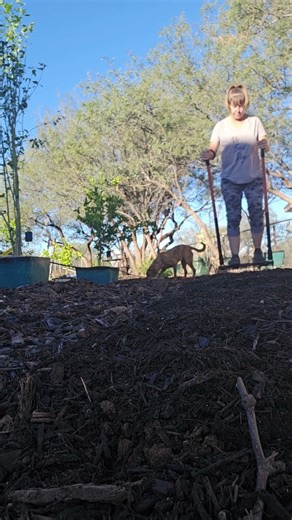 Broadforking for compaction makes better grow beds