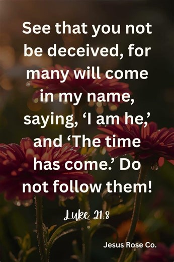 Catholic Bible Study | Luke 21:8 | Jesus Rose Co. ✝️