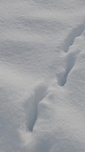 Feeling the crunch. | National Trust