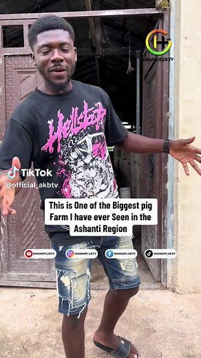 Exploring the Largest Pig Farm in Ashanti Region