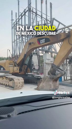 Descubre el Parque del Jaguar en Tulum: Naturaleza y Cultura en un Entorno Impresionante