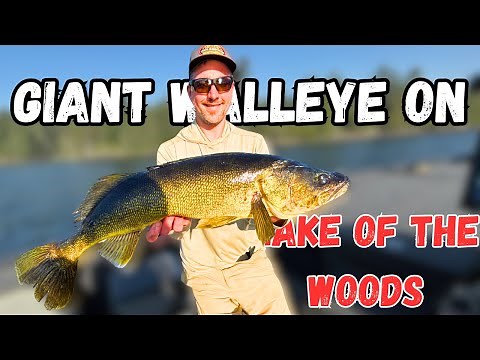 2025 Kenora Walleye Open on Lake of the Woods ($38,000!?)