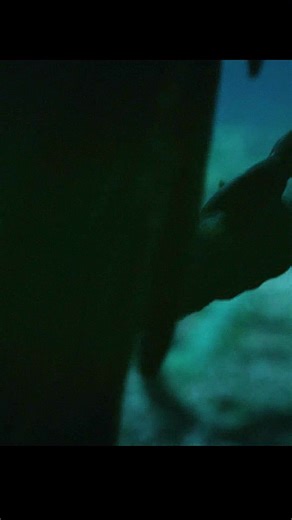 7.1M views · 46K reactions | Ganda pwede panuorin ng bata. Syempre dapat may gabay ng magulang #ctto #CreditsToTheRightfulOwner #nocopyrightinfringementintended | Bodega 999 Supplier | Facebook