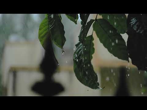 Old Bollywood Songs Playing in Another Room and it's Raining V1