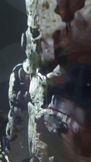 edit spring trap vs spring bonie