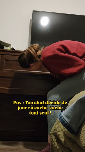 Pov : Ton chat décide de jouer à Cache-Cache tout SEUL ! 😼 Il a le don de m'énerver quand il fait ça, surtout derrière un tiroir .... J'enlève directement le tiroir sans attendre qu'il trouve le chemin inverse ! Vos chats aussi se lancent dans des parties de Cache-Cache Solo ? #chatnoir #catsofinstagram #Pierrelechat #teamblackcat #pantheredesalon #humour | Pierre & Sarah