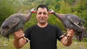 🦚Hello, guys. Today we're cooking guinea fowl! It's a very unusual tasting bird, it's not as fatty as chicken, but it's one of the healthiest poultry in terms of nutrition and nutrients. 🪶I like to cook it best with these two wonderful recipes in the tandoor! | Wilderness Cooking