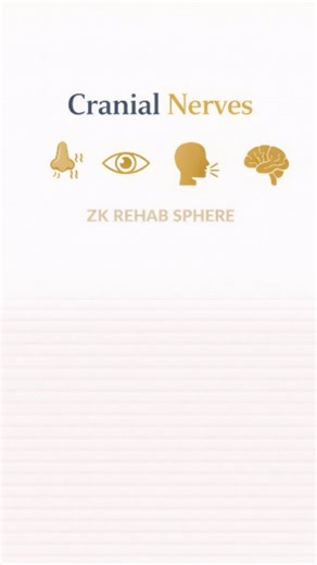 ZK Rehab Sphere on Instagram: "Knowing the clinical testing of all 12 cranial nerves is essential for neurology exams, ward rounds, and emergency assessment. This simplified chart helps you remember: • Which cranial nerve to test • How to test it clinically • What abnormal findings may indicate 📌 Why this is important: • Builds strong neuro-clinical reasoning • Helps in early localization of lesions • Essential for viva, OSCEs & bedside exams • Improves confidence during patient examination 💡