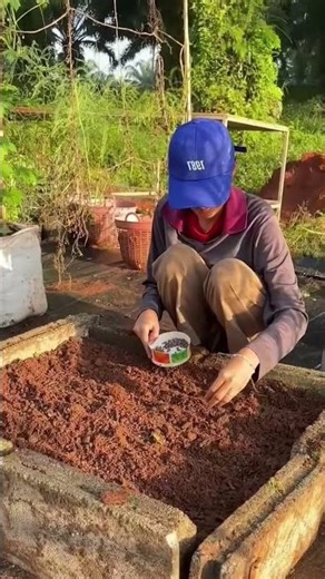 #farming #garden #nature #dailyvlog