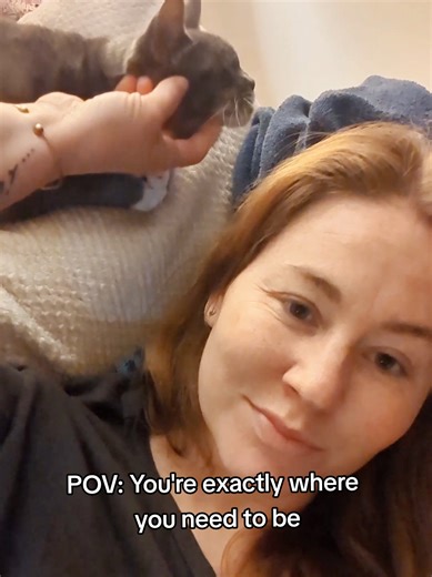 Gotta admit, I'm pretty comfy chilling here next to the laundry pile. I haven't folded yet being snuggled by my kitties while debating if I should try to go live with out my Verizon internet since the Verizon outage is still ongoing. Going live is showing up for myself though so I guess I might as well. Ok ok, I'll go get ready. See you all soon! #tiktoklive #live #pov #comfy #cat