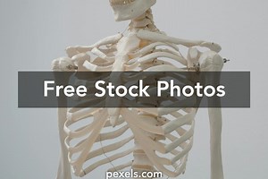 Tibia Mmorpg Photos, Download The BEST Free Tibia Mmorpg Stock Photos & HD Images