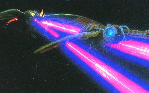 空战！摩斯拉VS进化成虫的巴特拉 (中字/1992年)【哥斯拉VS摩斯拉】