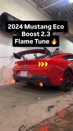 Dyno Custom Tunez on Instagram: "2024 Ford Mustang Ecoboost 2.3 Flame Tune 🔥 #MustangEcoBoost #2024Mustang #EcoBoostTuning #MustangTuning #FlameTune PopsAndBangs BurbleTune TurboMustang BoostedMustang MustangLife ExhaustFlames CarReels MustangBuild FordPerformance CustomTunez"