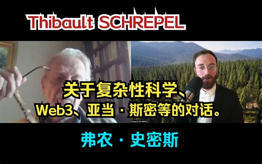 【弗农·史密斯】对话复杂性科学、Web3、Adam Smith 等|Thibault SCHREPEL（中英双字）