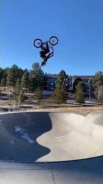 Best of the Year 2025