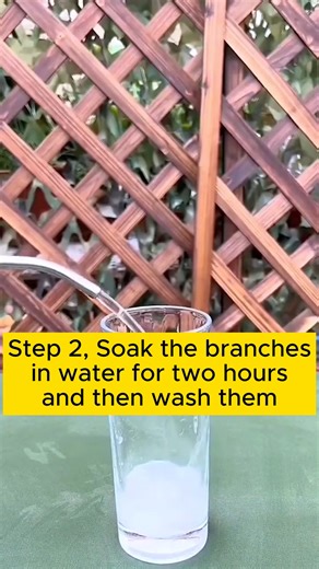65K views · 408 reactions | Simple root extraction #gardening #garden #gardeningtips #gardenlife #gardeninspiration #gardenideas #gardenlove #gardendesign #gardenersofinstagram #gardenersworld #garden_styles #gardenphotography #gardenlovers #gardenerslife #gardenart #gardenbeauty #gardensofinstagram #gardenplants #gardenviews #gardenersparadise #gardenista #gardeningcommunity #gardenloversclub #gardenaddict #gardeners #gardenerslife | Gardening Hacks | Facebook