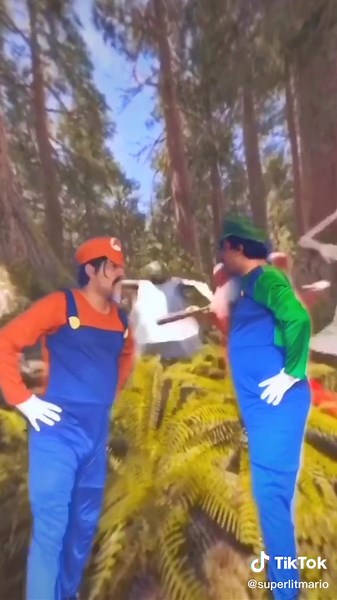 MARIO & LUIGI VS GRANNY & PIGGY & FRIENDS #fyp#foryoupage#superlitmario#supermario#nintendo#granny#piggy#roblox#helloneighbour#ImComingOut#rod#gaming#