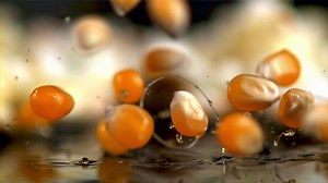 Super slow motion popcorn grains fall into the oil. Filmed on a high-speed camera at 1000 fps. High quality FullHD footage