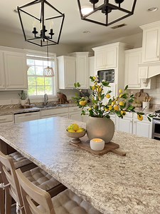 141K views · 1.3K reactions | Summer decor idea! Lemon kitchen centerpiece idea! Comment SHOP and I’ll send you links to everything I used! I found these lemon stems on Amazon and thought they would be perfect for summer decor! ☀️ #summerdecor #diyhomedecor #centerpiecesidea #centerpieces #centerpieceideas #lemondecor #kitchendecor #traystyling #kitcheninspo #summerhomedecor #lemondecorating #kitchendecorideas | Our Winton home | Facebook