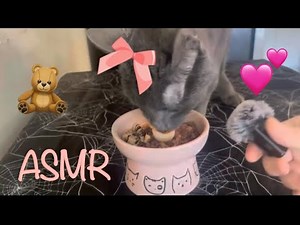 Ophelia Kitty ASMR: My first video! 😻