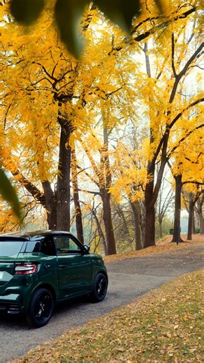 Kom de nieuwste brommobielen van Ligier ontdekken: de nieuwe JS50 en de vernieuwde Myli. Zowel elektrisch als met de stilste diesel motor in de markt, voorzien van alle luxe. Vanaf 16 jaar met bromfietsrijbewijs. Van harte welkom! #ligier #brommobiel | Garage - Carrosserie Houman
