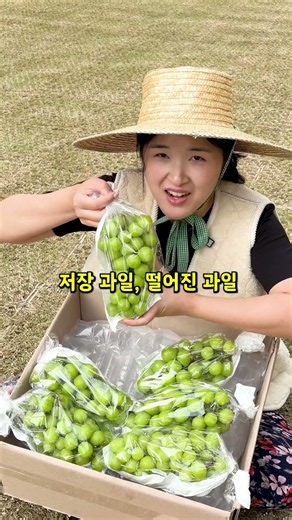 [2kg 6,900원] 한정!!! 고당도 샤인머스켓