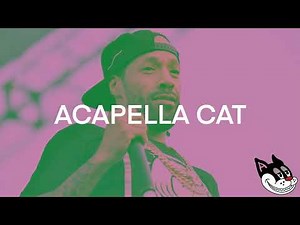 Redman - Rockafella Acapella 85 BPM - 4K Acapella Cat