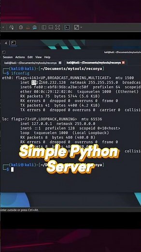 How to host local files with Python 🚀