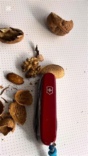 El truco de la Victorinox que NADIE usa 🌰🔪