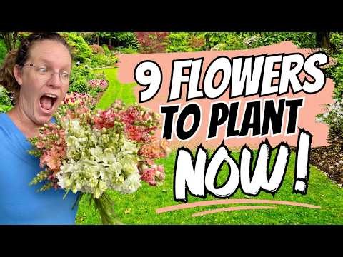 🌷 Want SPRING Cut Flowers?! 🌸 Plant These NOW! 9 Flowers to Start This Fall