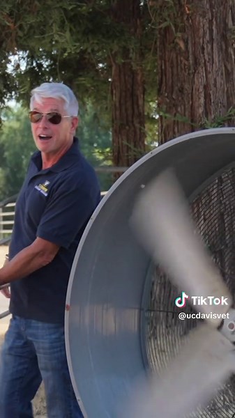 Understanding the Science of Stool for Poop Week