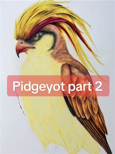 Pidgeot Part 2: Mastering Iconic Pokémon Art