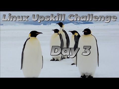 [Day 3] Power Trip! - Linux Upskill Challenge