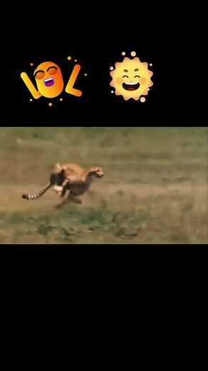 alik19970 (@alik19970)’s videos with Tsunami (Original Mix) - DVBBS & Borgeous