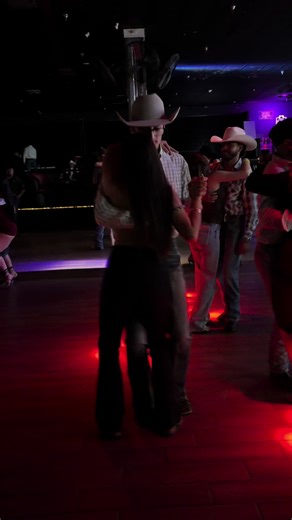 Understanding Cat Behavior: Why They Make Us Laugh