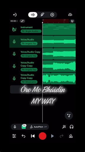 I Love My Recorder: My Way with Óro Mo Bháidín