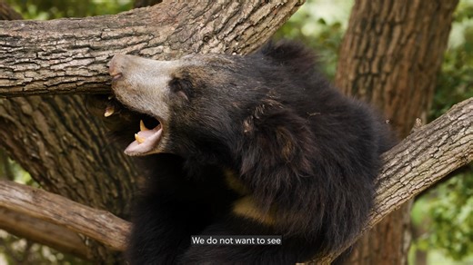 6.2K views · 347 reactions | "The Second Chance" | Official Trailer...