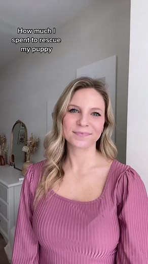 Affordable Lemonade Pet Insurance for Your Furry Friend